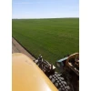 Рулонный газон "Спортивный" Смоленск 2000х400х20 мм