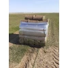 Рулонный газон "Спортивный" Смоленск 2000х400х20 мм