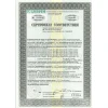 Кирпич керамический полнотелый утолщенный рядовой M200 250×120×88 ОАО Радошковичи
